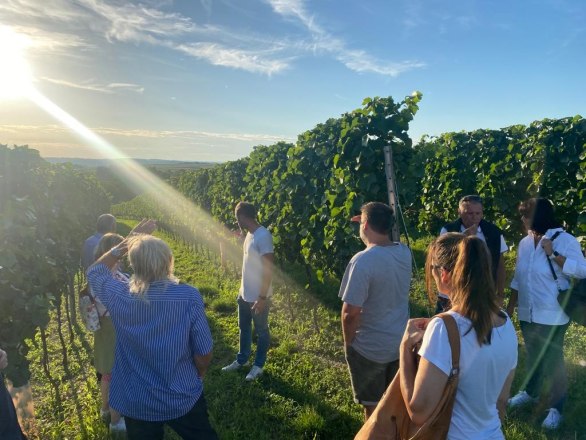 Ein Sonnenuntergang in den Weinbergen, © Weingut Kerner