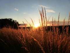 Sonnenuntergang, © Weingut Eichberger