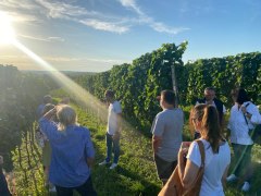 Ein Sonnenuntergang in den Weinbergen, © Weingut Kerner