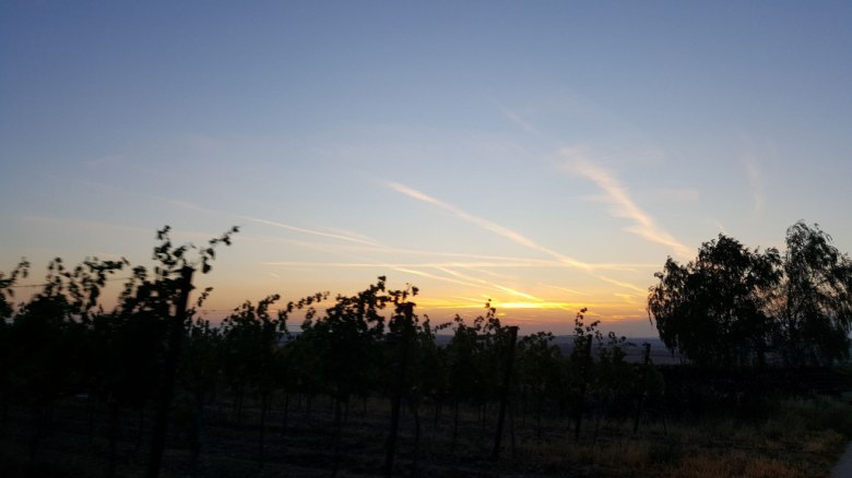 Sunset Tasting, © Winzerfamilie Pfalz